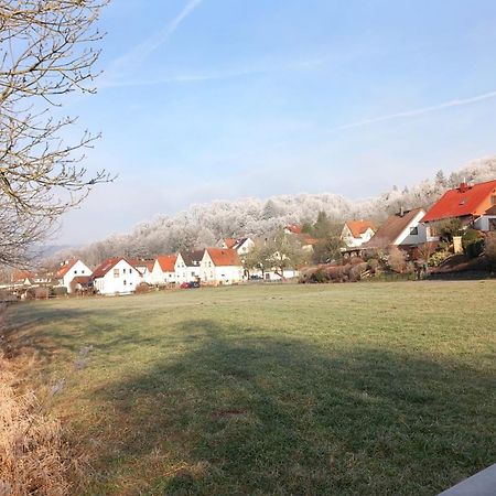 Ferienwohnung Unterm Schloss Bei Inge Reichelsheim Kültér fotó